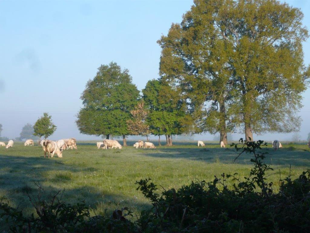 La Thibaude - Livry Bed and Breakfast Livry  Buitenkant foto